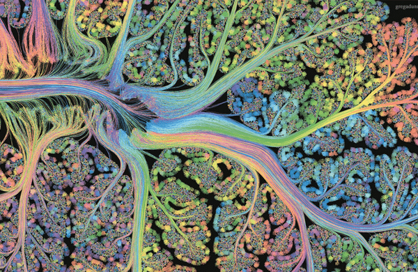 Colorful neuroart