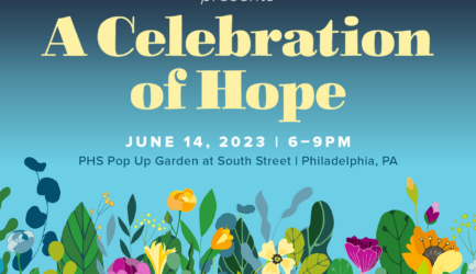 Celebration of Hope and flowers