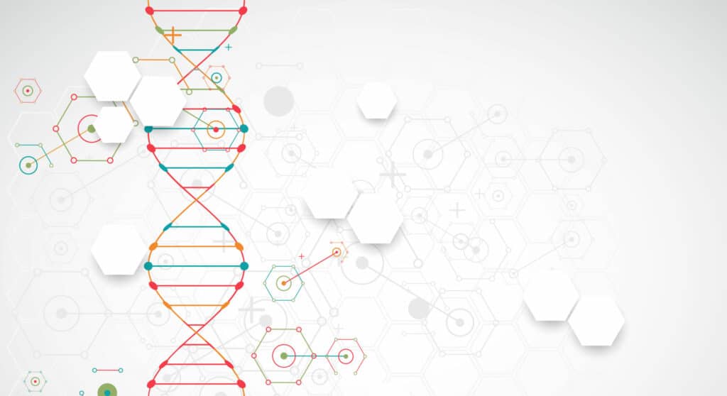 DNA strand