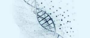 DNA helix
